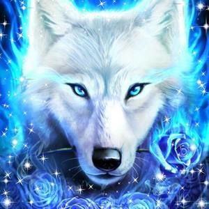 Meet your Posher, Lonnie